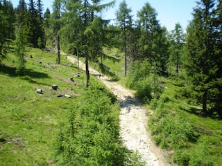 Berghütte Afritz am See Umgebung 8