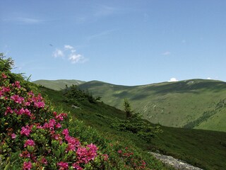 Idyllische Steiermark