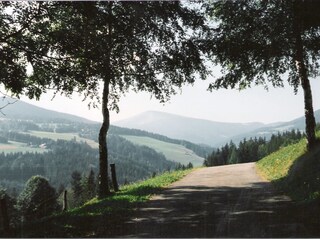 Ein Weg vom Ferienhaus