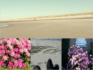 Bungalow Sint Maartenszee Ambiente 27