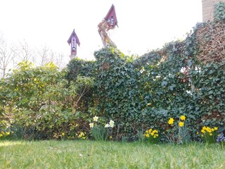 Bungalow Sint Maartenszee Buitenaudio-opname 12