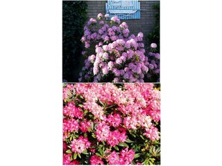 Bungalow Sint Maartenszee Registrazione all'aperto 11