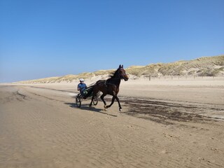 Bungalow Sint Maartenszee Ambiente 35