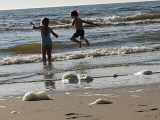 Bungalow Sint Maartenszee Ambiente 29