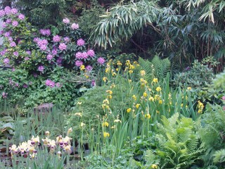 Vakantieappartement Lana Buitenaudio-opname 8