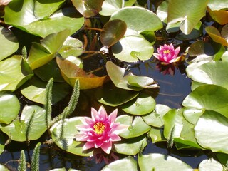 Appartamento per vacanze Lana Registrazione all'aperto 6