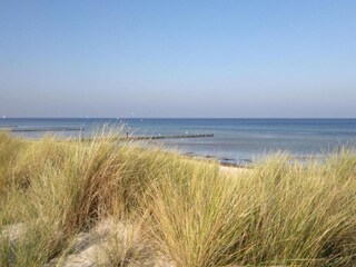 Vakantiehuis Hornstorf Omgeving 19