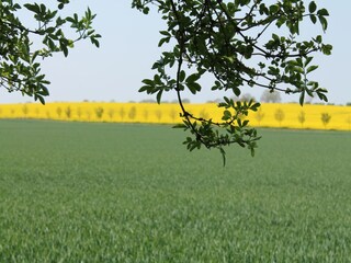 Vakantiehuis Hornstorf Omgeving 22