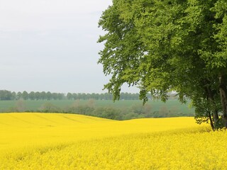 Bungalow Neubukow Omgeving 16