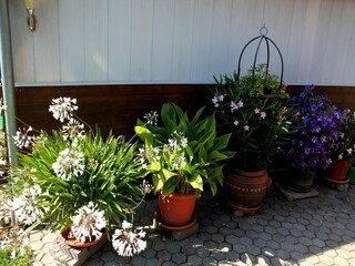 Bungalow Neubukow  39