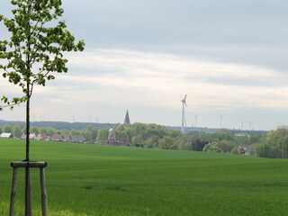 Bungalow Neubukow Buitenaudio-opname 7