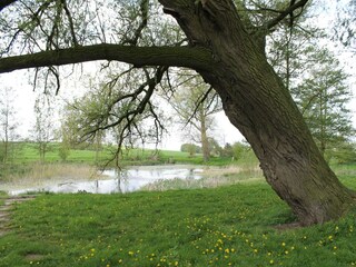 Bungalow Neubukow Omgeving 24