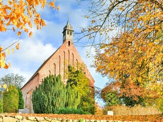 Ferienhaus Gustow Umgebung 30