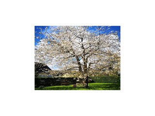 Vakantiehuis Gustow Buitenaudio-opname 2