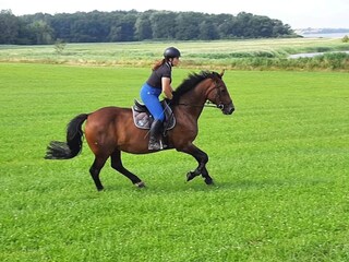 Vakantiehuis Gustow Omgeving 35