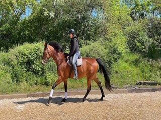 Vakantiehuis Gustow Omgeving 36