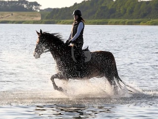 Holiday house Gustow Environment 23