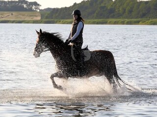 Vakantiehuis Gustow Omgeving 23