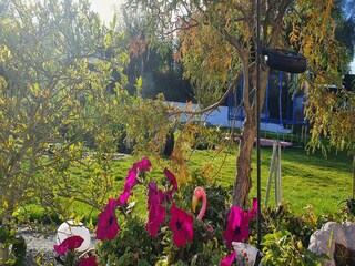 Maison de vacances Warnow bei Grevesmühlen  38