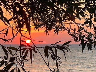 Casa per le vacanze Kalkhorst Ambiente 22