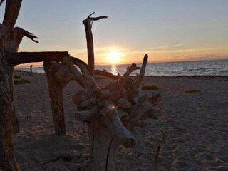 Vakantiehuis Kalkhorst Omgeving 19