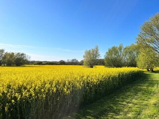 Holiday house Kalkhorst Environment 14