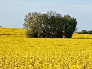 Casa per le vacanze Kalkhorst Ambiente 23