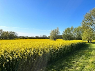 Ferienhaus Kalkhorst Umgebung 28