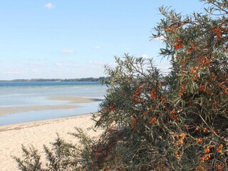 Bungalow Klütz Environnement 22