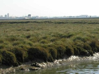 Apartment Denia Umgebung 32