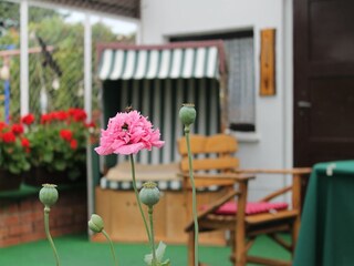 Apartment Rerik Außenaufnahme 2
