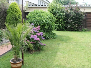 Apartment Rerik Outdoor Recording 3