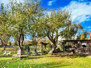 Casa per le vacanze Thorstorf Registrazione all'aperto 5