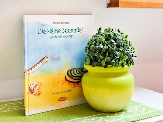 Ferienhaus Thorstorf  38