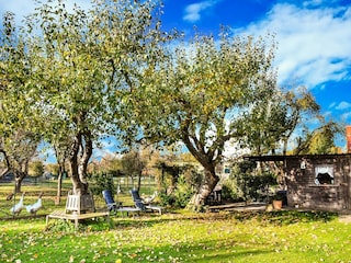 Ferienhaus Thorstorf Außenaufnahme 2