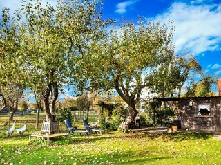 Holiday house Thorstorf Outdoor Recording 2