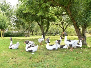 Holiday house Thorstorf Outdoor Recording 6