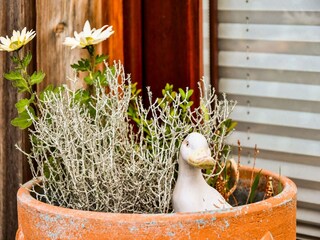 Casa per le vacanze Thorstorf  32