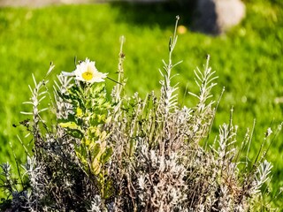 Vakantiehuis Thorstorf  37