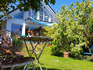 Maison de vacances Breege Enregistrement extérieur 11