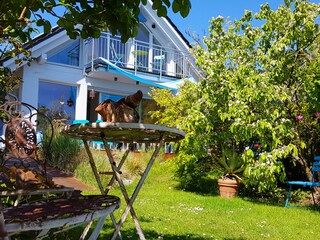 Vakantiehuis Breege Buitenaudio-opname 11