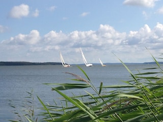 Maison de vacances Breege Environnement 31