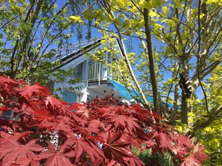 Maison de vacances Breege Enregistrement extérieur 10