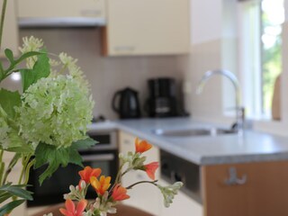 Appartamento per vacanze Roelofarendsveen Caratteristiche 18