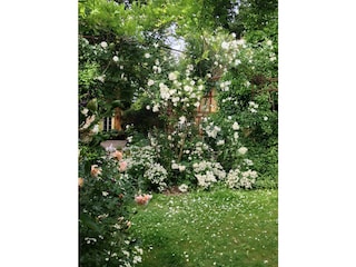 Holiday apartment Plau am See Environment 8