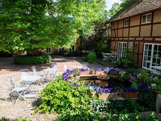 Holiday apartment Plau am See Outdoor Recording 8