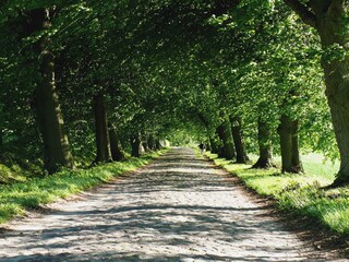 Holiday apartment Plau am See Environment 20