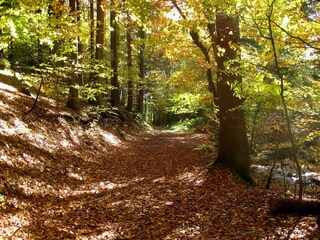 Holiday apartment Plau am See Environment 21