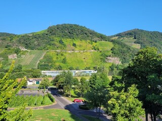 Aussicht vom Haus "Moselblick"