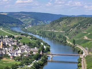 Moselaussicht